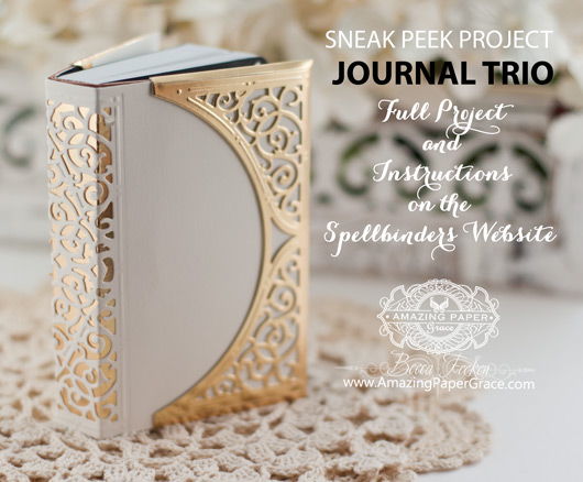 Journal Trio Giveaway at www.amazingpapergrace.com