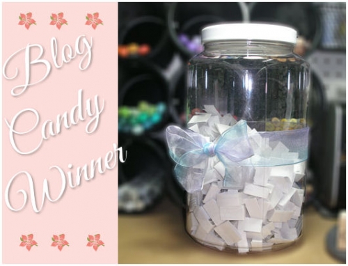 Happy New Year – Blog Candy Winner » Amazing Paper Grace